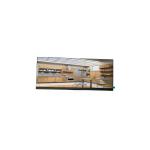P370IVN04.1 37.0 inch 1920*540 51 pins LCD screen Display for sale