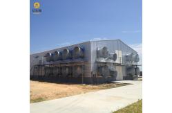 China Large Scale Steel Structure Poultry House Construction Q235 Q235B Q345 S355 supplier
