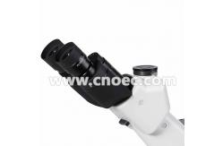 China Metallurgical Optical Microscope Kohler Illumination Microscopes A13.0906 supplier