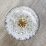 Custom clear epoxy real flower specimen acrylic dandelion paper weight