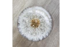 China Custom clear epoxy real flower specimen acrylic dandelion paper weight supplier