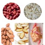 304 Stainless Steel Multifunction Vegetable Cutting Machine Automatic Cashew Nut Slicer