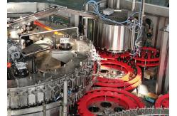 China 2000ml Carbonated Beer Bottle Rinsing Filling Capping Beverage Filling Machine supplier