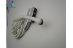 China GE E8C-RS micro convex endocavity ultrasound transducer probe supplier