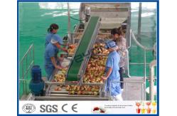 China CE Apple Processing Line with Automatic Disinfection Liquid Concentration Control System supplier