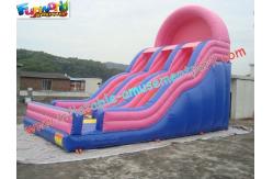 China Popular Commercial Inflatable Slide Double Line , Giant Slide Toys supplier