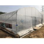 Long Life Span PE PO Plastic Film Roll Up Vents Tunnel Green Houses for Agriculture for sale