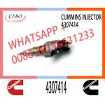 Diesel Parts Fuel Injector 4307414 4359204 For Dongfeng Foton Cummins