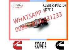 China Diesel Parts Fuel Injector 4307414 4359204 For Dongfeng Foton Cummins supplier