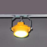 2000lum Waterproof LED Canopy Light 20 Watt WF2 Marine Dock Lighting Fixtures for sale