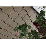 Stainless Steel Wire Rope Plant Trellis Systems Climbing Net Customized Size for sale