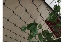 China Stainless Steel Wire Rope Plant Trellis Systems Climbing Net Customized Size supplier