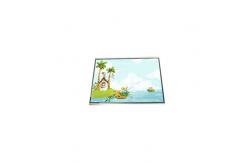 China LPP055A384A 5.5 inch LCD screen LCD Display FOR Mobile Phone supplier