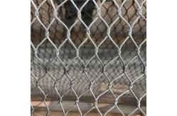 China 316L Wire Rope Cable Zoo Protecting Stainless Steel Wire Zoo Mesh supplier
