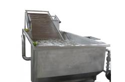 China Full Automatic Fruit Processing Equipment Surfing Bubble Washing Machine supplier