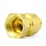Anti Air Rotation Brass  Check Valve Vertical Male Female Check Valve
