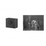 Uncooled LWIR 256x192 / 12μm Thermal Security Camera Module for sale