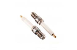China Natural Gas Generator Spark Plug For MTU Engines Series 4000 supplier