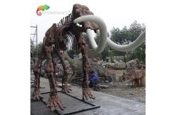 China weather reistance Real Size Replica Animal Skeletons Mammuthus Model supplier