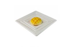 China 6Inch Biodegradable Sugarcane Bagasse Plates Square Retangular Plate 7Inch supplier