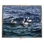 CMO R181E2-L01 Model 18.1 inch 1280*1024 TFT LCD Screen Panel for sale
