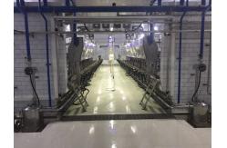 China 24-100 point Herringbone Milking Parlour Automatic Cow Machine System supplier