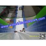 Giant Inflatable Water Slide For Adult , Hippo Inflatable Slide In Amusement Park