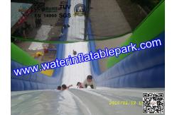 China Giant Inflatable Water Slide For Adult , Hippo Inflatable Slide In Amusement Park supplier