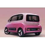 2023 Mini Electric Car Long Range 100% New Baojun Kiwi EV Vehicle