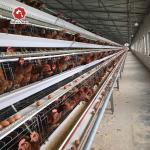 96 Birds A Type Layer Battery Chicken Cage Steel Wire Mesh for sale