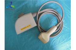 China 7.5MHz 7.5L40A Linear Array Ultrasonic Transducer Probe supplier