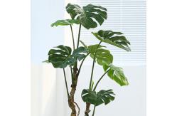 China Nordic Bonsai Evergreen Monstera Artificial Potted Plant Ornament supplier