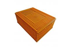 China Three Doors Broiler Transport Crates Poultry Polypropylene supplier