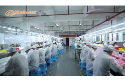 China Spo2 Extension Cable manufacturer