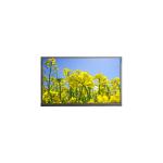 2560*1600 16.0 inch N160GME-GLB 500 cd/m2 LCD Screen Original for sale