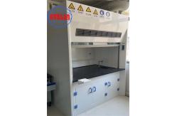 China Electronic Control Frp Ducted Fume Hood With Auto Shut Off Safety supplier