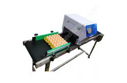 China Date Egg Printing Machine Computer Control Inkjet Egg Stamping Machine 50000eggs/H supplier