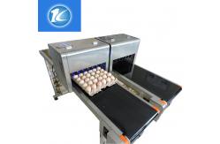 China Egg Continuous Inkjet Printer Personalized Configuration Integrated Rack supplier