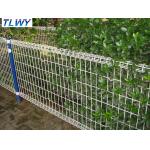 50*150mm Double Loop Wire Garden Welded Mesh Fencing Electro Galvanizing