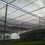 6m Wide Greenhouse Plastic Weed Mat 30gsm-300gsm Agricultural Shade Cloth for sale