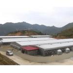 Galvanized Prefabricated Steel Structure with Q355 Q235B Steel Grade for sale