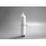 Length 10 20 Membrane Filter Cartridge PES Pleated 0.22um Eye Drop Filtration for sale