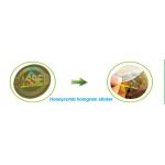 Customized Hologram Sticker Printing Square Security Label For Enhanced Protection