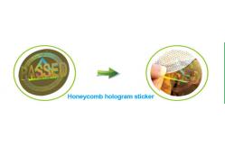 China Customized Hologram Sticker Printing Square Security Label For Enhanced Protection supplier