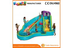 China Customized Interesting Mega Aqua Water Slide Large Inflatable Pool Slide supplier