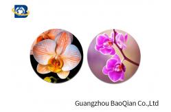 China Home Decoration 3D Lenticular Coasters Cup Placemat Beautiful Flower Pattern supplier