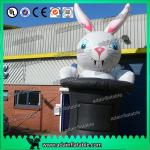 Inflatable Bunny Cartoon for sale