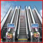 Shopping Car Elevator  High Speed Elevator Load 450 - 1600kg For Consumers Convenient for sale