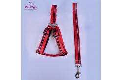 China Nylon Rope Odm XL Dog Walking Training Leash supplier