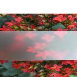 Cutting Service Polycarbonate LED Strip Light Diffuser Cover With Fire Retardancy